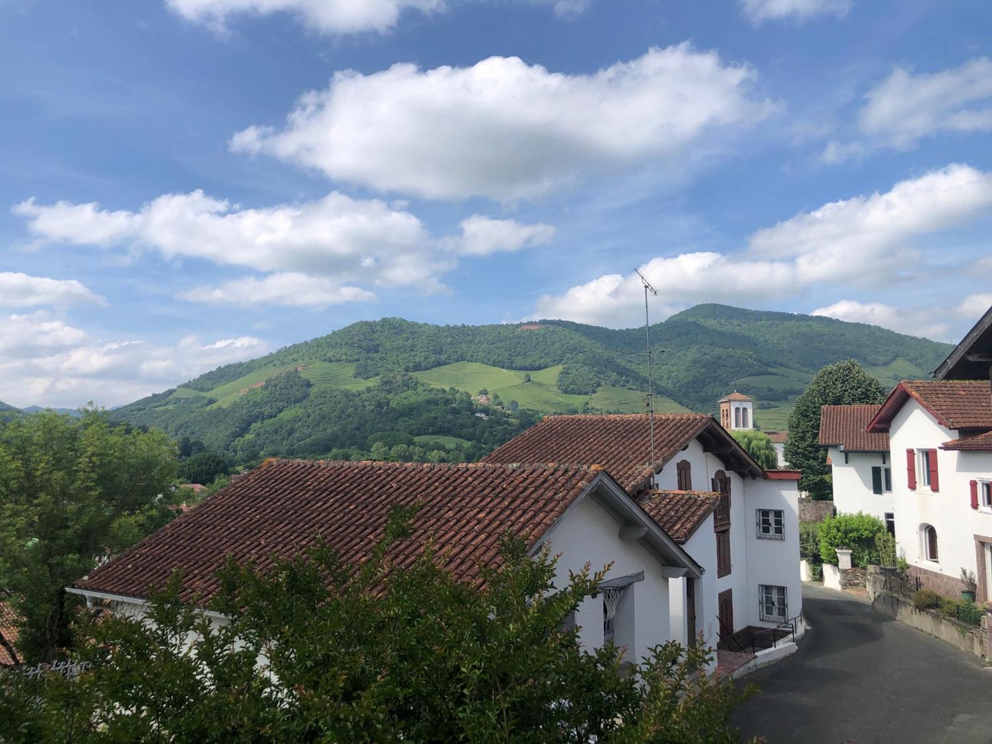 Maison D'Hotes Larraldia Uhart-Cize Buitenkant foto